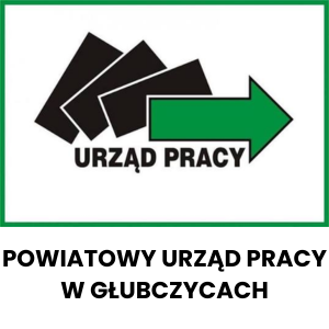 Anna Płoska - mentorka doradców zawodowych 19 centrum szkolen promocji zatrudnienia wspolprace 2